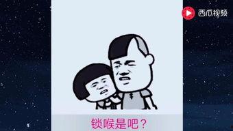 baby中文版歌词搞笑,笑料百出，欢乐无限